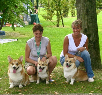 Welsh Corgi Pembroke Double Creek